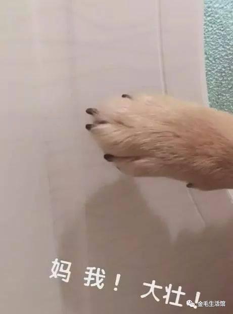 咚快开门,智能门锁引领家居安全新潮流