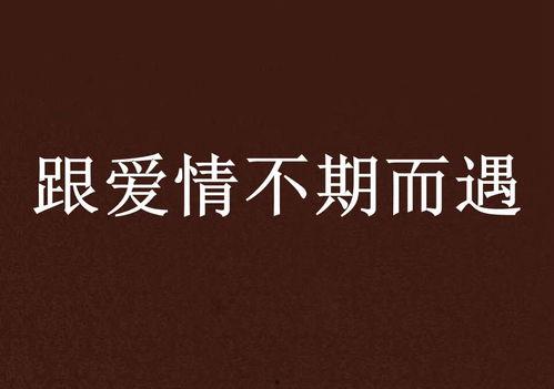 不期而遇 2022,邂逅美好，共赴时光之旅